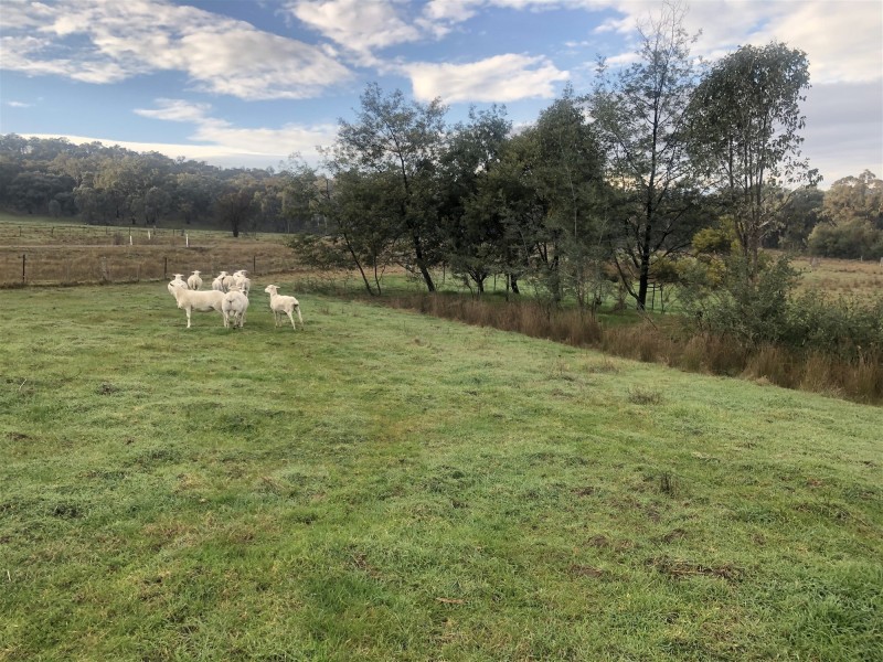 3539 Great Alpine Road, Gapsted VIC 3737