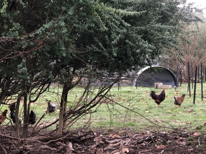 3539 Great Alpine Road, Gapsted VIC 3737