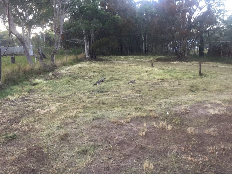 Macleay Island QLD 4184