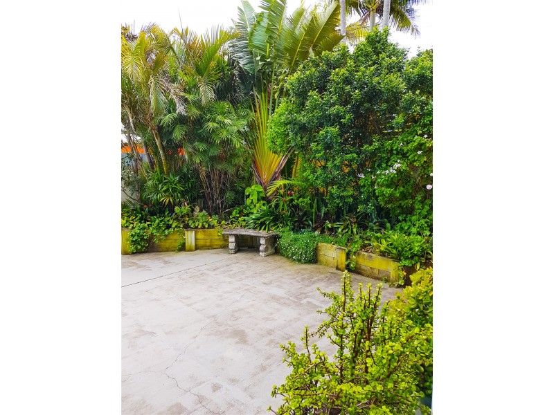 57 Griffin Road, North Curl Curl NSW 2099