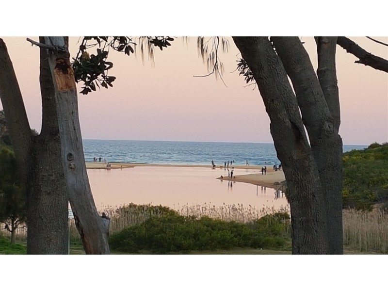 57 Griffin Road, North Curl Curl NSW 2099