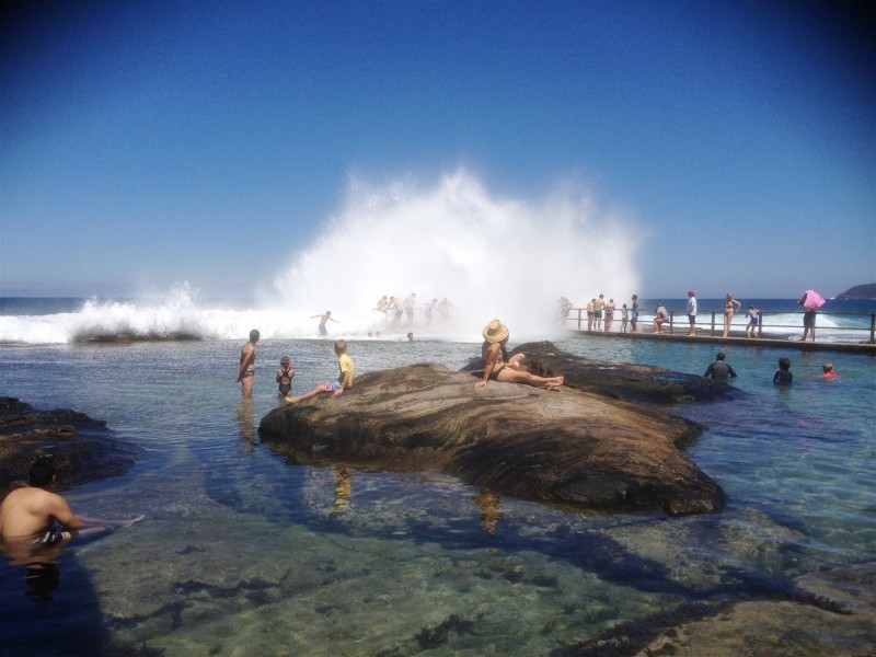 57 Griffin Road, North Curl Curl NSW 2099