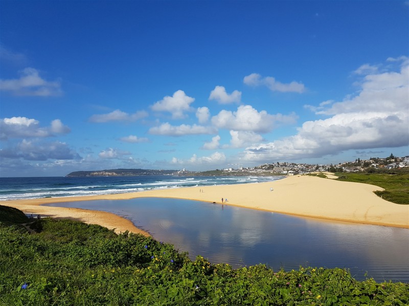 57 Griffin Road, North Curl Curl NSW 2099