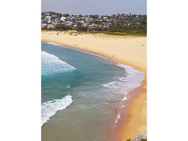 57 Griffin Road, North Curl Curl NSW 2099