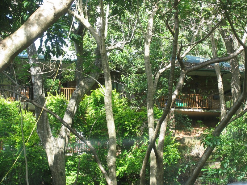 Lot 1/29 Clacherty st, Stratford QLD 4870