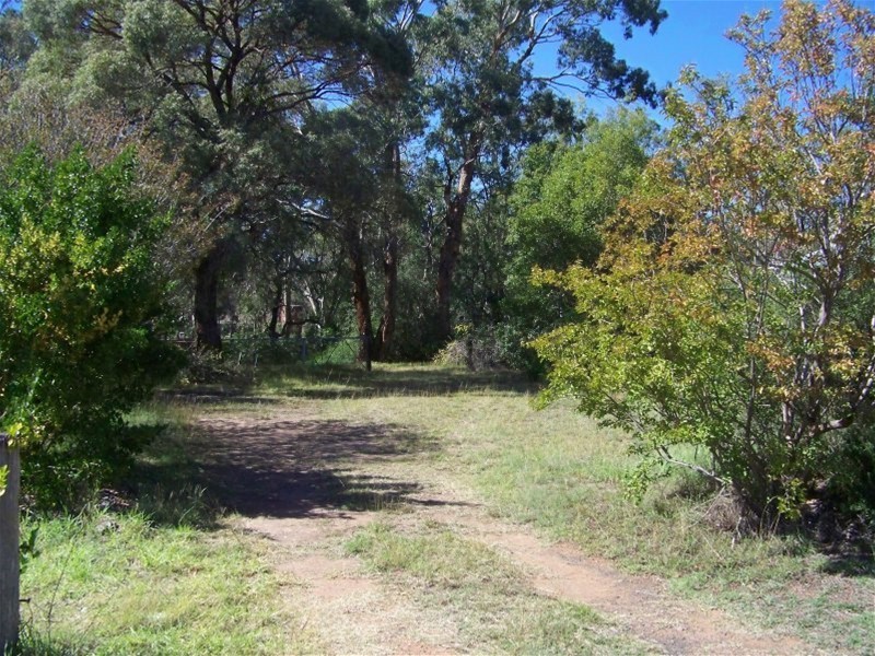 17 Nelson Street, Coonabarabran NSW 2357