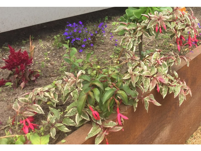 10 Lancia Drive, Tootgarook VIC 3941