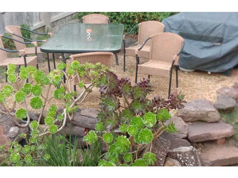 10 Lancia Drive, Tootgarook VIC 3941