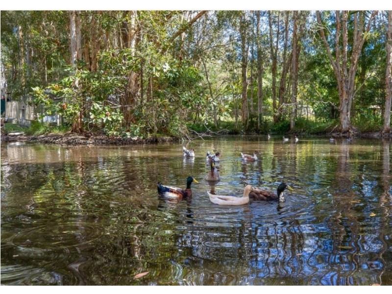 21 Misty Lane, Cooroibah QLD 4565