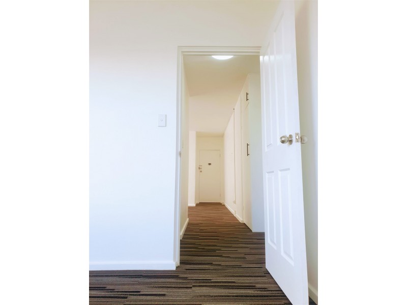 2/22 Shadforth Street, Wiley Park NSW 2195