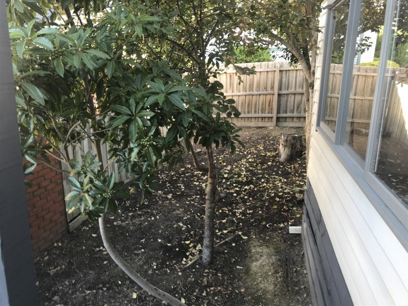 1/1 Margaret street, Ringwood VIC 3134