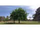 163-169 Victoria st, Briagolong VIC 3860
