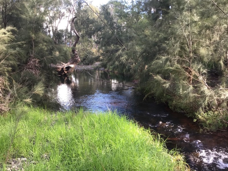 1887 Inverramsay Road, Goomburra QLD 4362