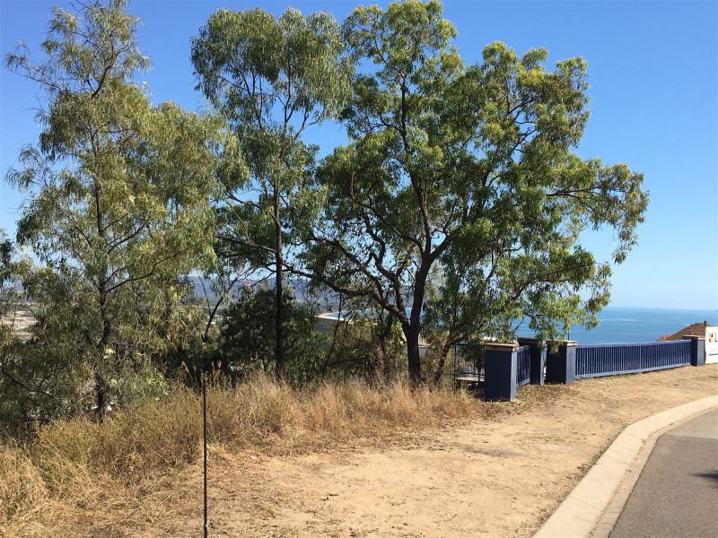 59 Yarrawonga Drive, Castle Hill QLD 4810