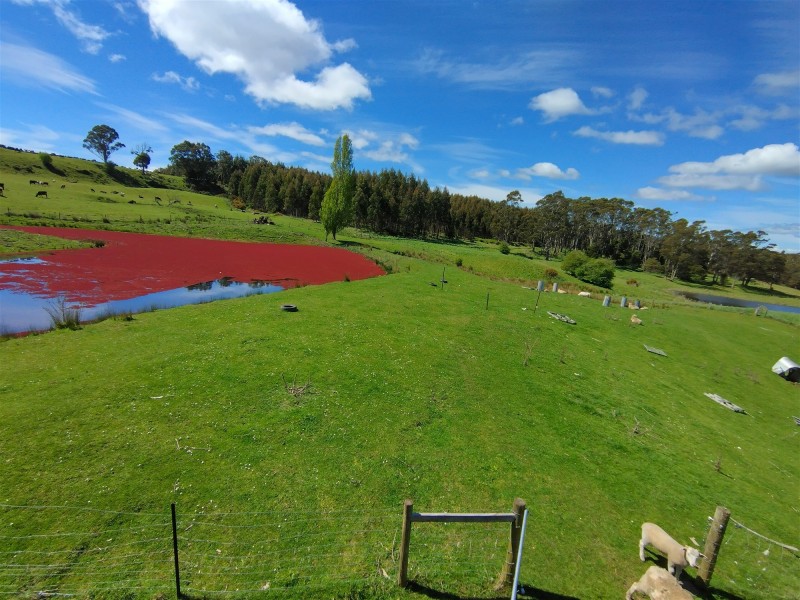 52  Motton Lane, Chudleigh TAS 7304
