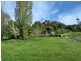 52  Motton Lane, Chudleigh TAS 7304