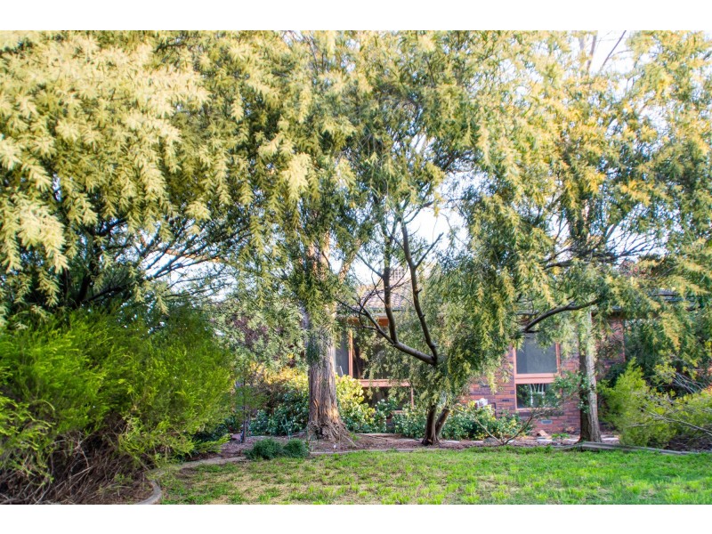 8  Fitzmaurice Street, Kaleen ACT 2617