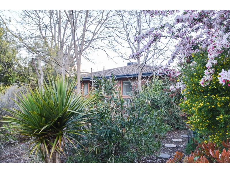 8  Fitzmaurice Street, Kaleen ACT 2617