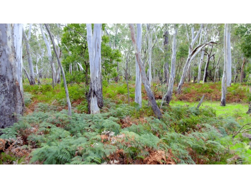 Lot 9 Red Gum Lease Track, Halls Gap VIC 3381