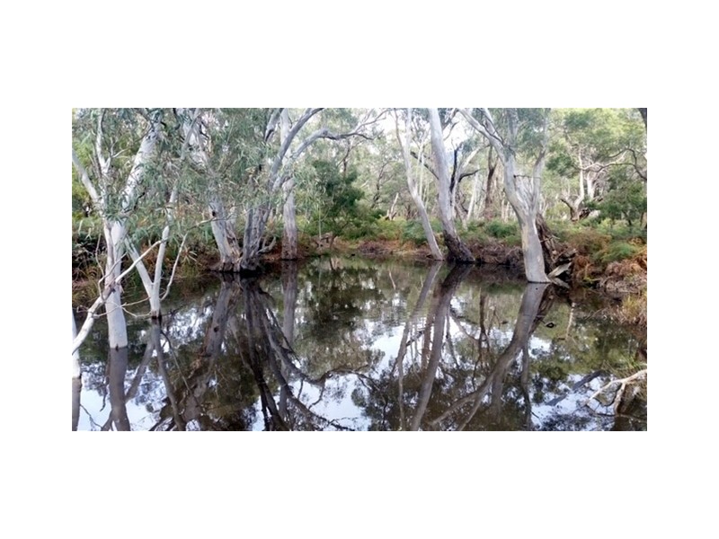 Lot 9 Red Gum Lease Track, Halls Gap VIC 3381
