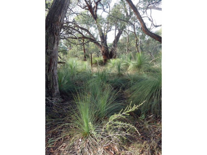 Lot 9 Red Gum Lease Track, Halls Gap VIC 3381