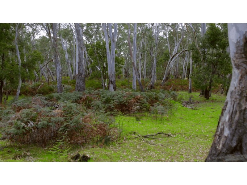 Lot 9 Red Gum Lease Track, Halls Gap VIC 3381