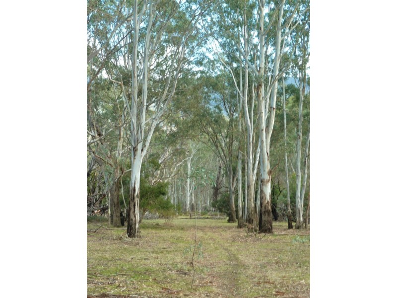 Lot 9 Red Gum Lease Track, Halls Gap VIC 3381