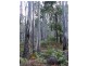 Lot 9 Red Gum Lease Track, Halls Gap VIC 3381