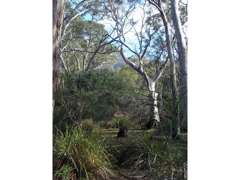 Lot 9 Red Gum Lease Track, Halls Gap VIC 3381