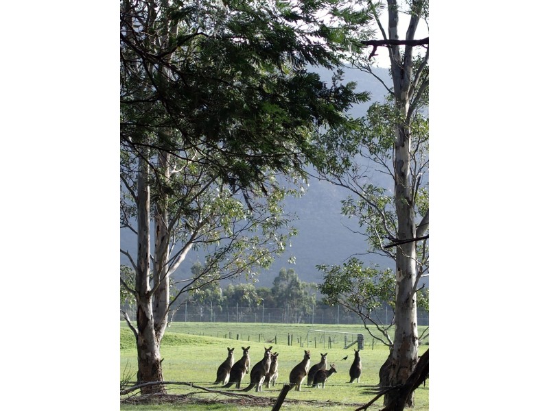 Lot 9 Red Gum Lease Track, Halls Gap VIC 3381