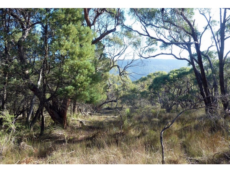 Lot 9 Red Gum Lease Track, Halls Gap VIC 3381