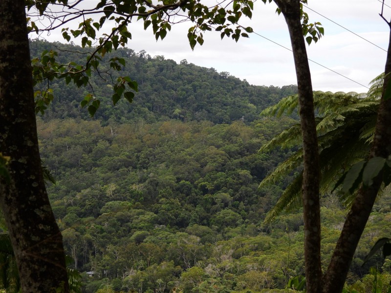 133 Mount Haren Road, Kuranda QLD 4881