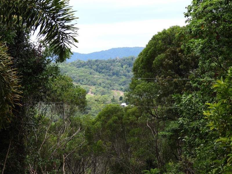 133 Mount Haren Road, Kuranda QLD 4881