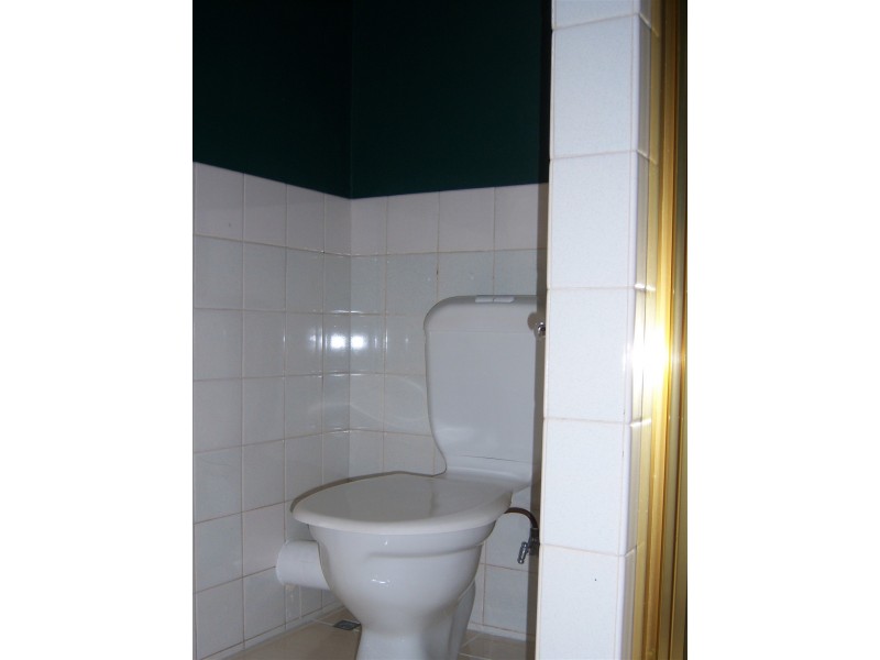 17 Adelaide Street, Clayfield QLD 4011