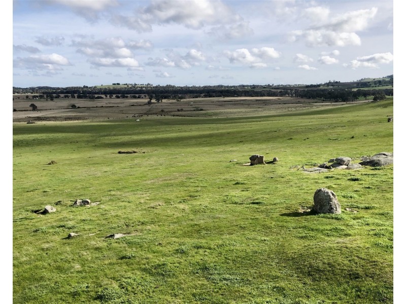 “ELPHI”/219 Dainty’s Lane, Elphinstone VIC 3448