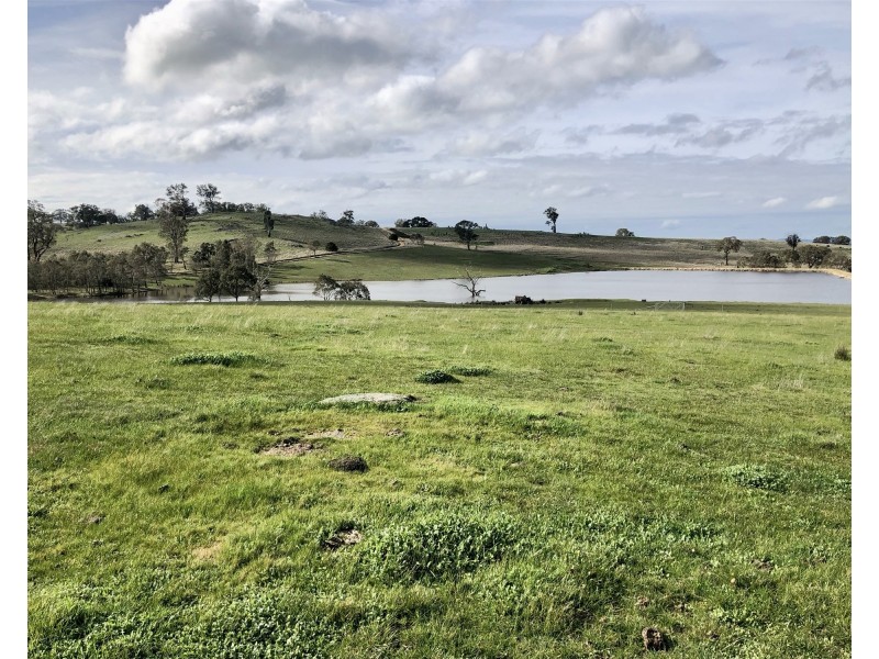 “ELPHI”/219 Dainty’s Lane, Elphinstone VIC 3448