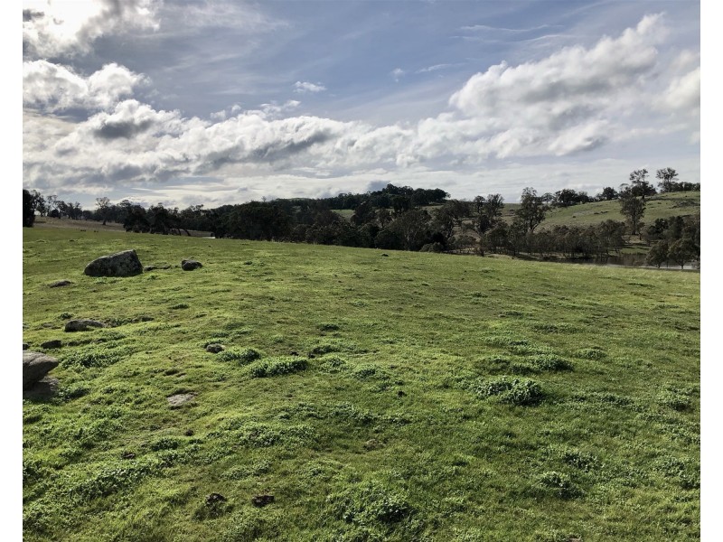 “ELPHI”/219 Dainty’s Lane, Elphinstone VIC 3448