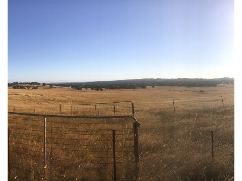 “ELPHI”/219 Dainty’s Lane, Elphinstone VIC 3448