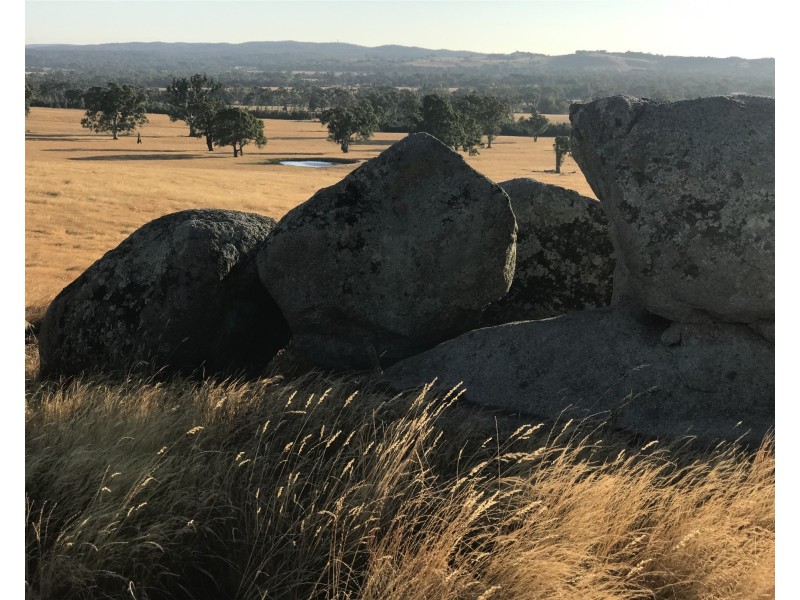 “ELPHI”/219 Dainty’s Lane, Elphinstone VIC 3448