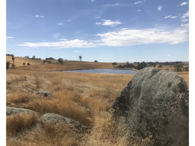 “ELPHI”/219 Dainty’s Lane, Elphinstone VIC 3448