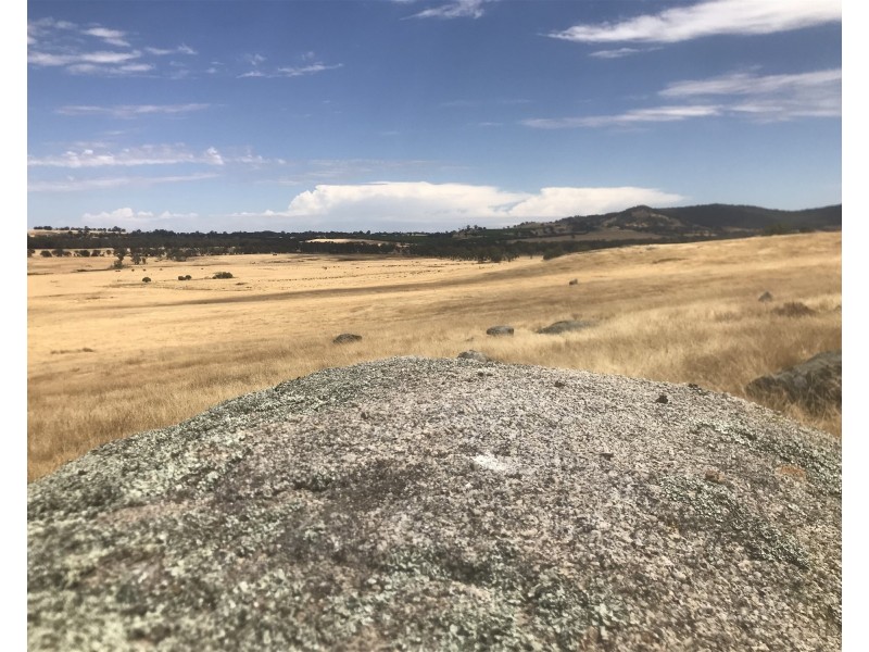 “ELPHI”/219 Dainty’s Lane, Elphinstone VIC 3448