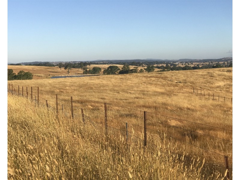 “ELPHI”/219 Dainty’s Lane, Elphinstone VIC 3448