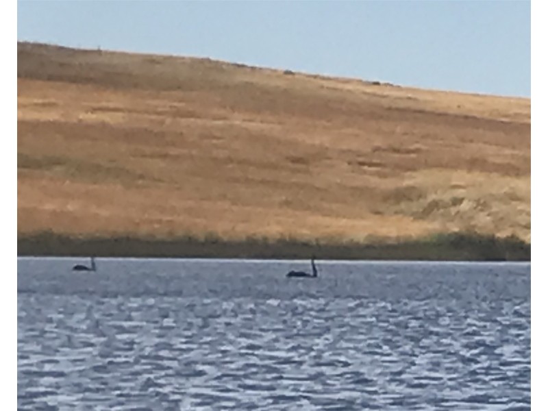 “ELPHI”/219 Dainty’s Lane, Elphinstone VIC 3448