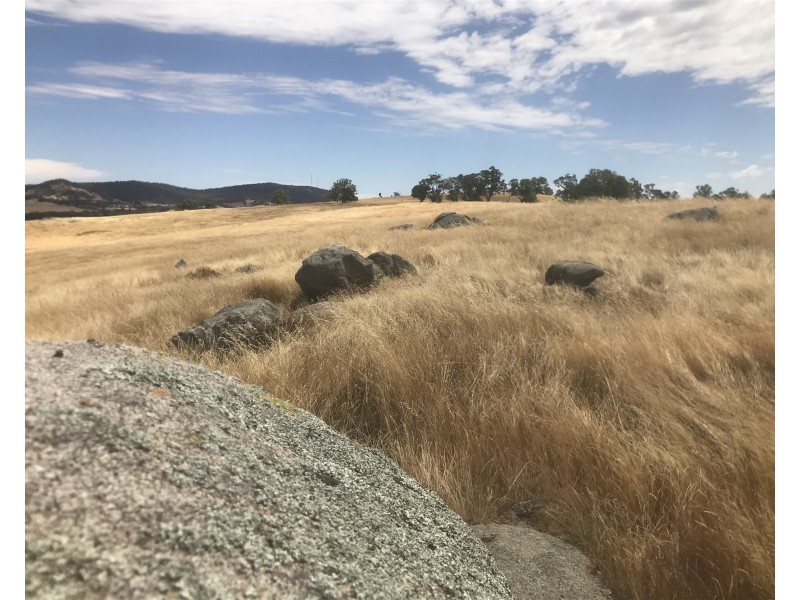 “ELPHI”/219 Dainty’s Lane, Elphinstone VIC 3448