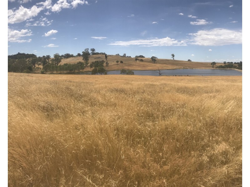 “ELPHI”/219 Dainty’s Lane, Elphinstone VIC 3448