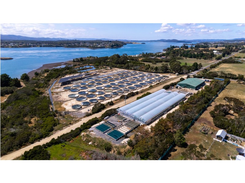 171 Bevic Road, Clarence Point TAS 7270