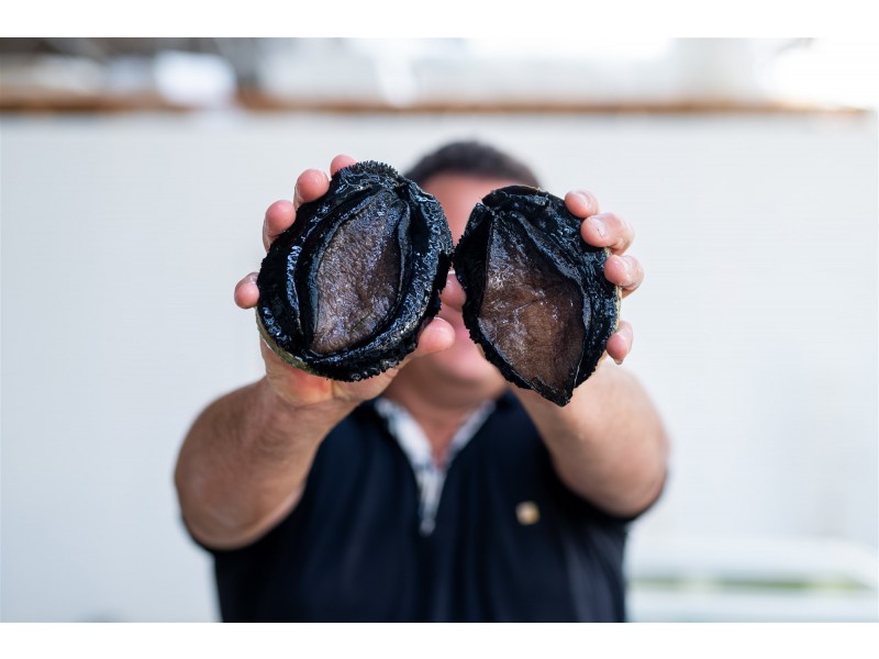 171 Bevic Road, Clarence Point TAS 7270