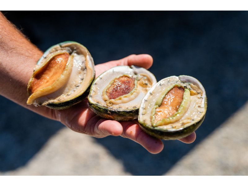 171 Bevic Road, Clarence Point TAS 7270