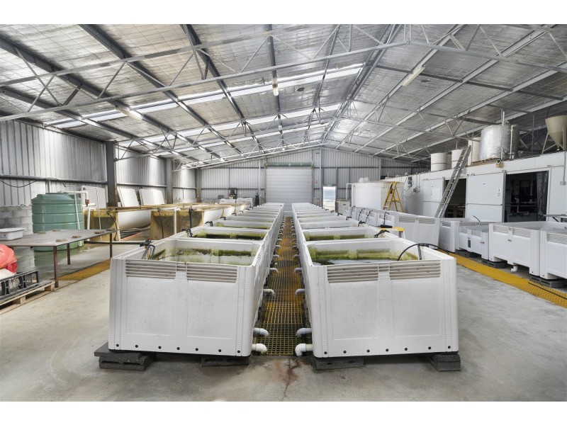 171 Bevic Road, Clarence Point TAS 7270