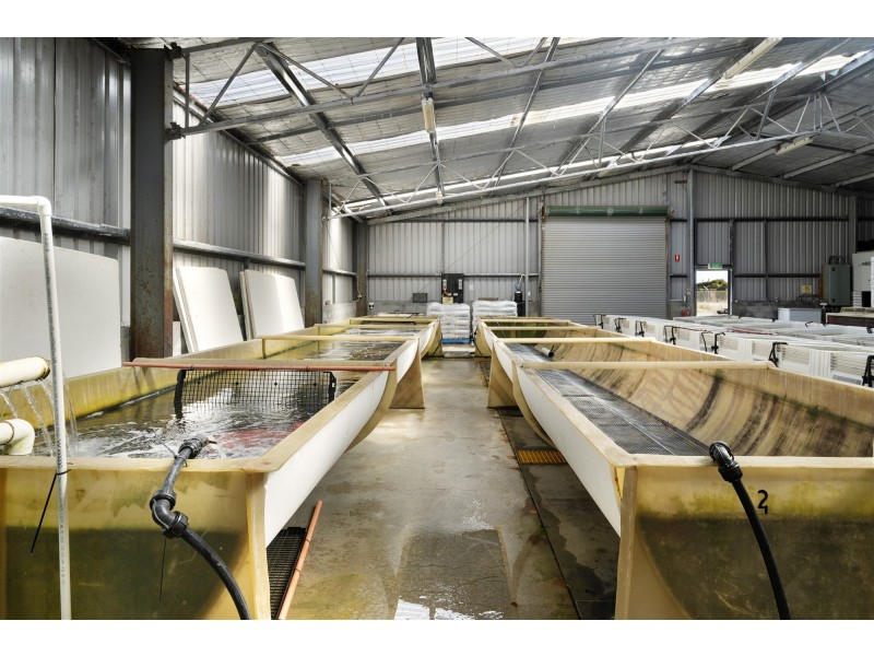 171 Bevic Road, Clarence Point TAS 7270